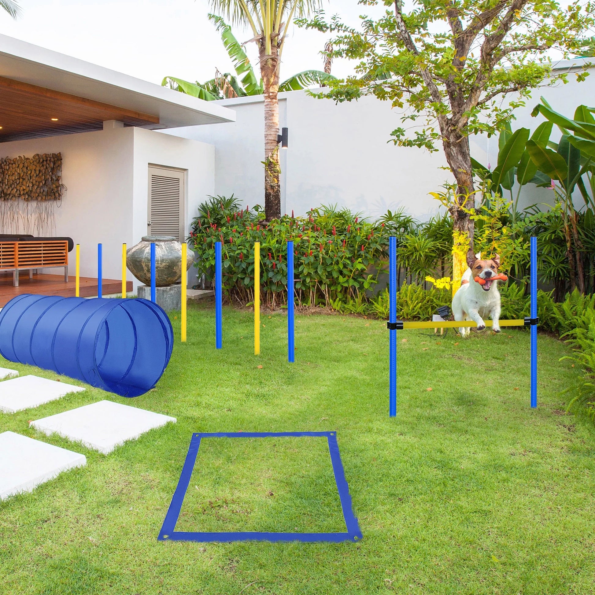 CalmPaw™ Ultimate Agility Training Kit