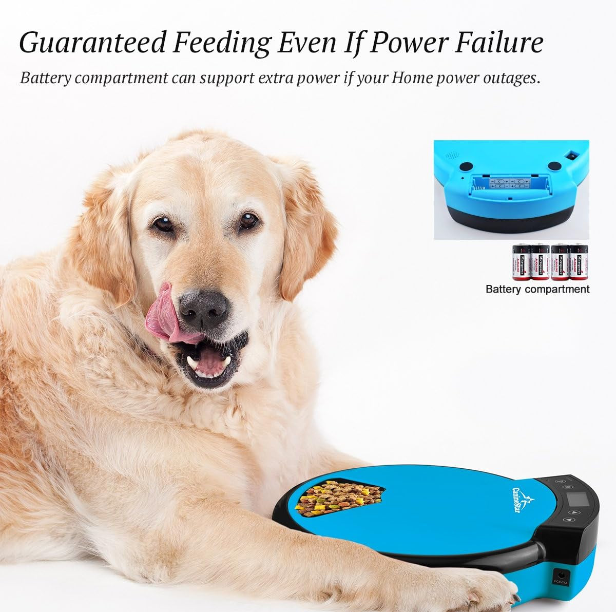 CalmPaw™ Smart Auto-Feeder