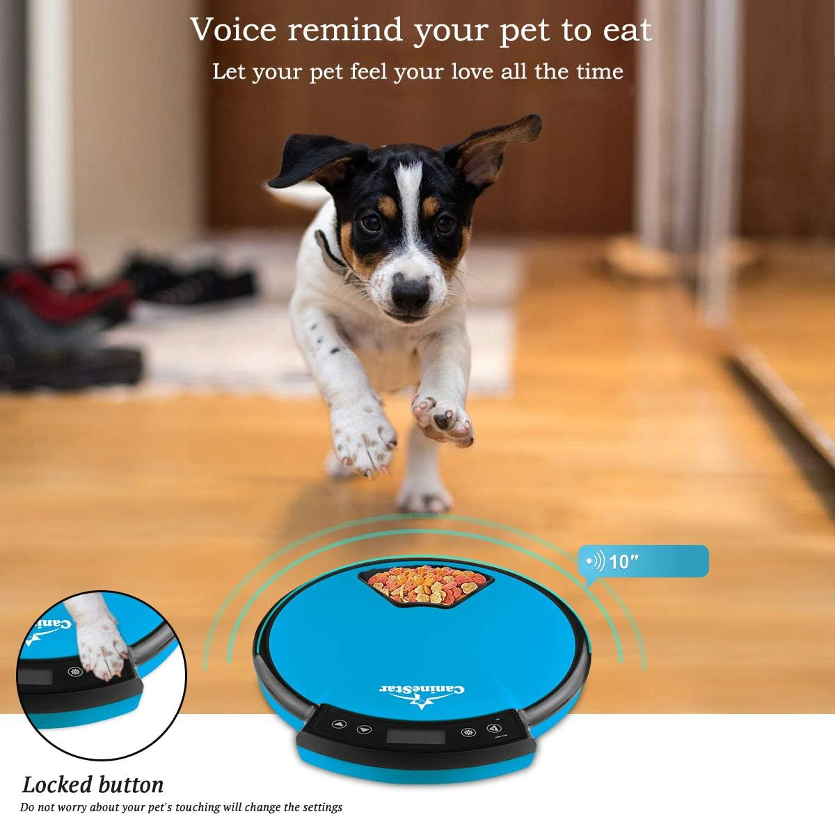 CalmPaw™ Smart Auto-Feeder