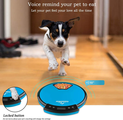 CalmPaw™ Smart Auto-Feeder