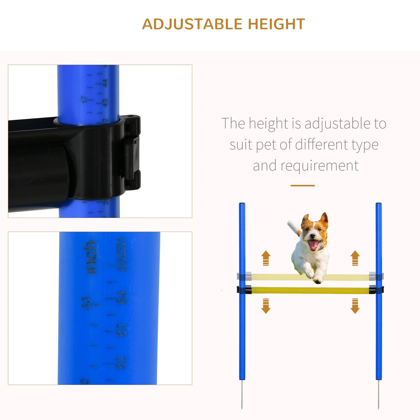 CalmPaw™ Ultimate Agility Training Kit